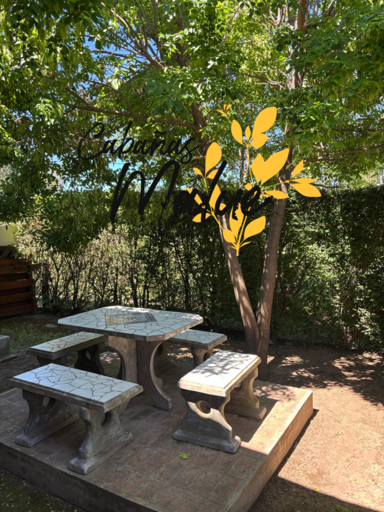 20251230_205820_0000