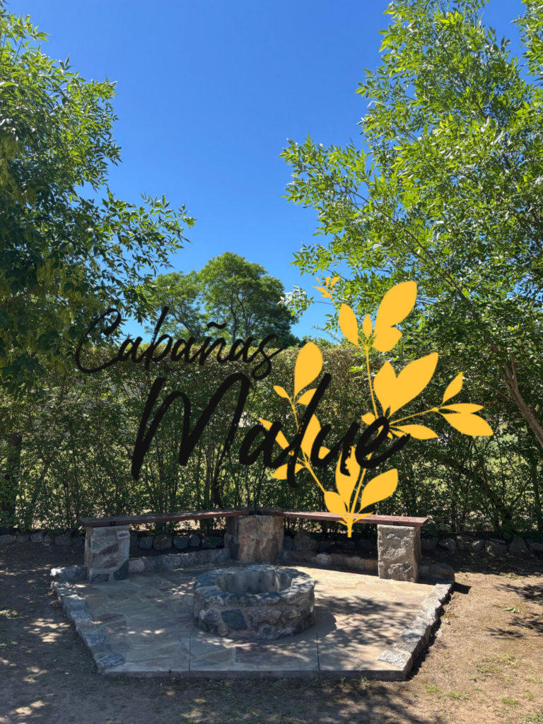 20251230_210244_0000