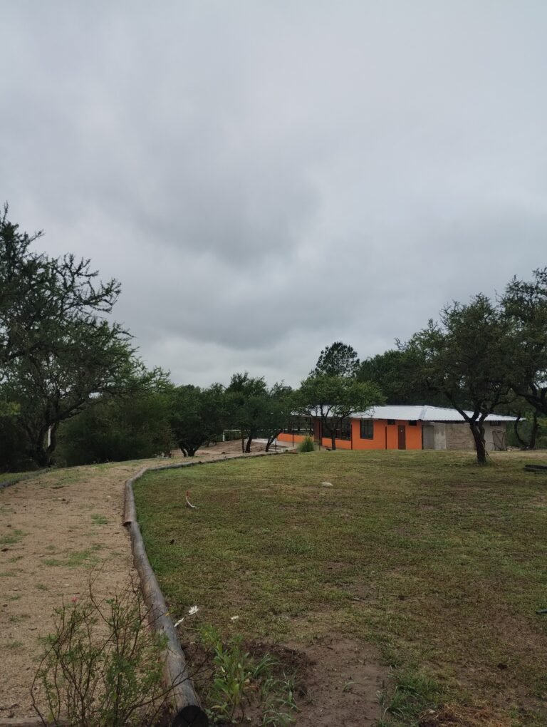 IMG_20251214_173937685