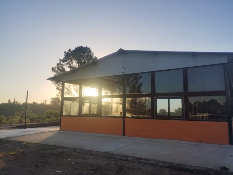 IMG_20251218_195137334