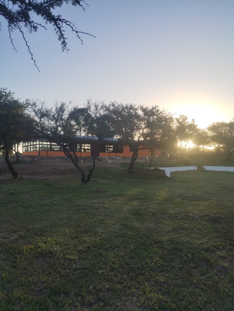 IMG_20251218_195616506