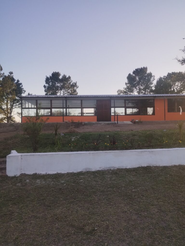 IMG_20251218_195646033