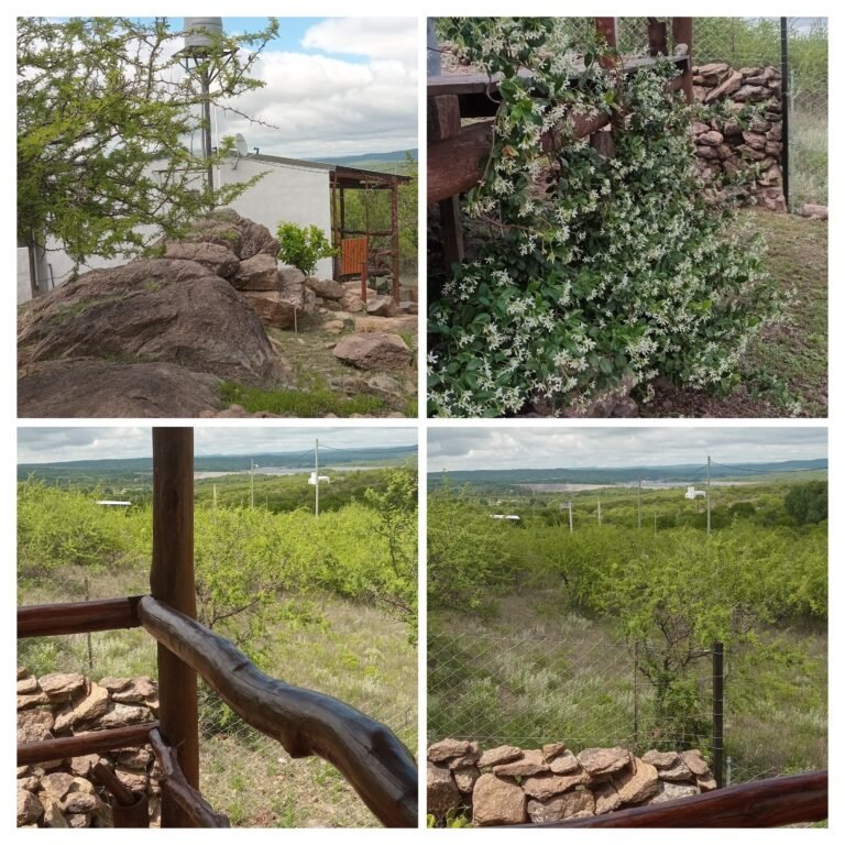 20251118_122154-COLLAGE