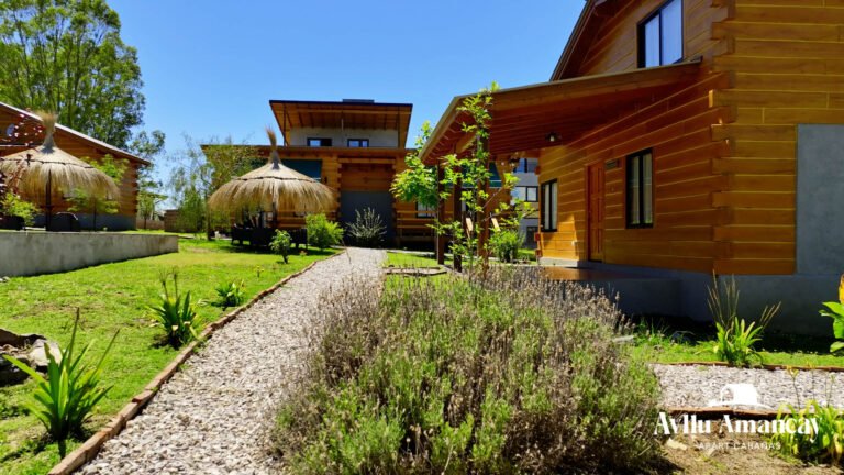 26122025-Captura 2025-12-26 200029_1.16.1_marca